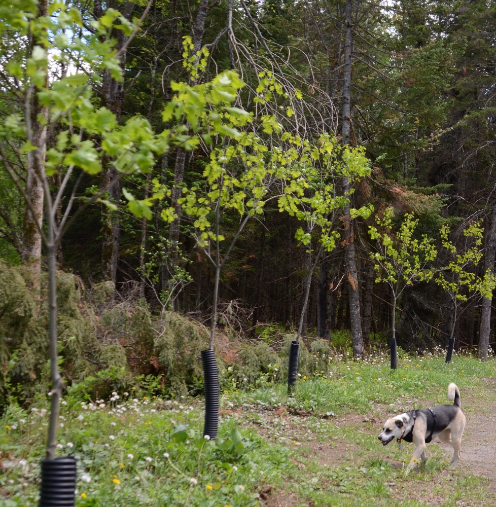 2020-05-30-14h13m57.jpg